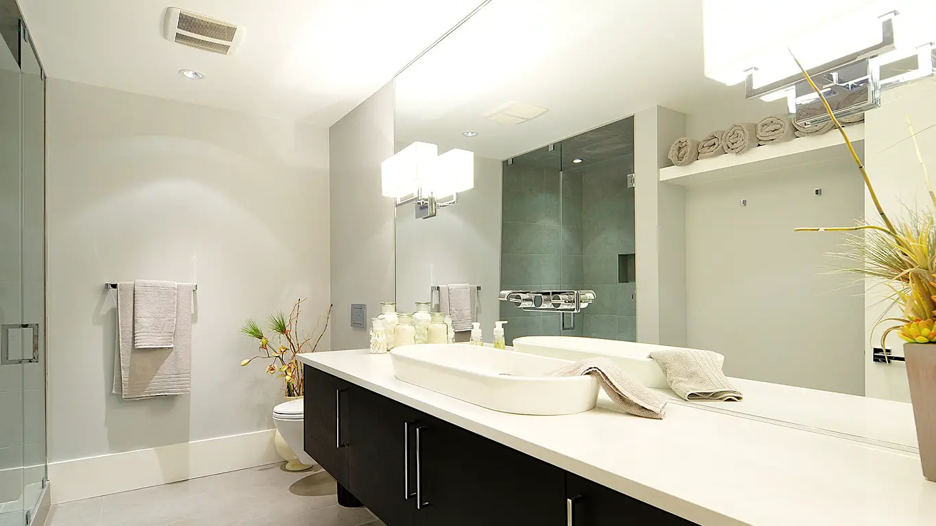 Dvele master bathroom showing modern finishes and wall-mounted toilet.